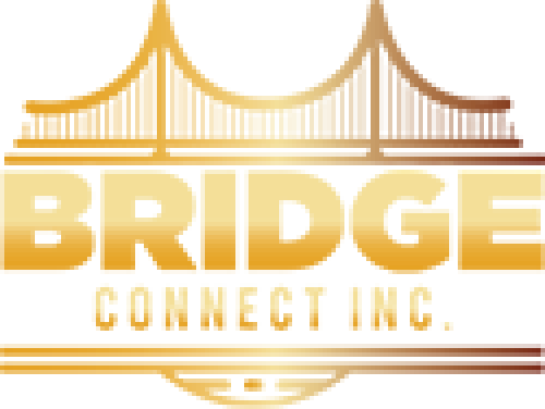Birdge_Connect